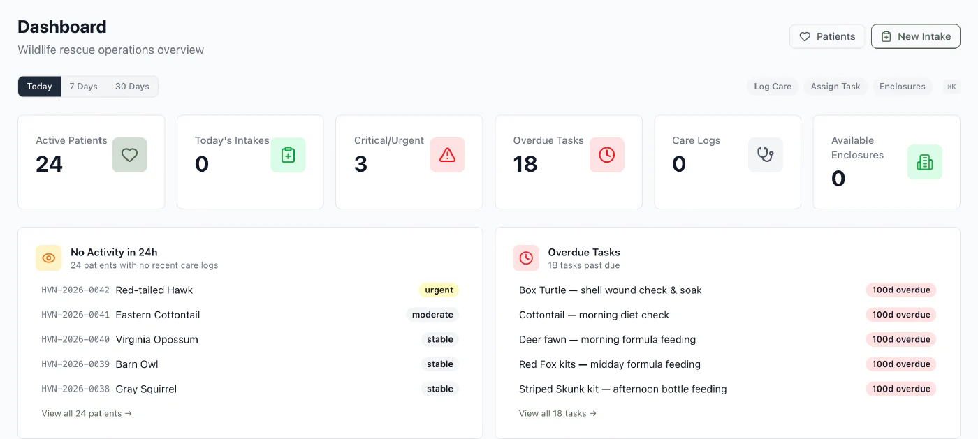 The Haven dashboard, showing active patient counts, overdue tasks, and patients with no recent activity